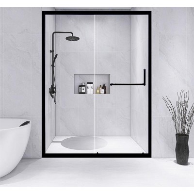 Shower door