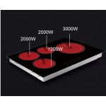 Induction Cooker