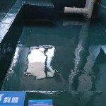 Waterproof coatings